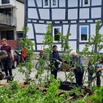 Eine GRuppe von Menschen beim Pflanzen eienr Hecke